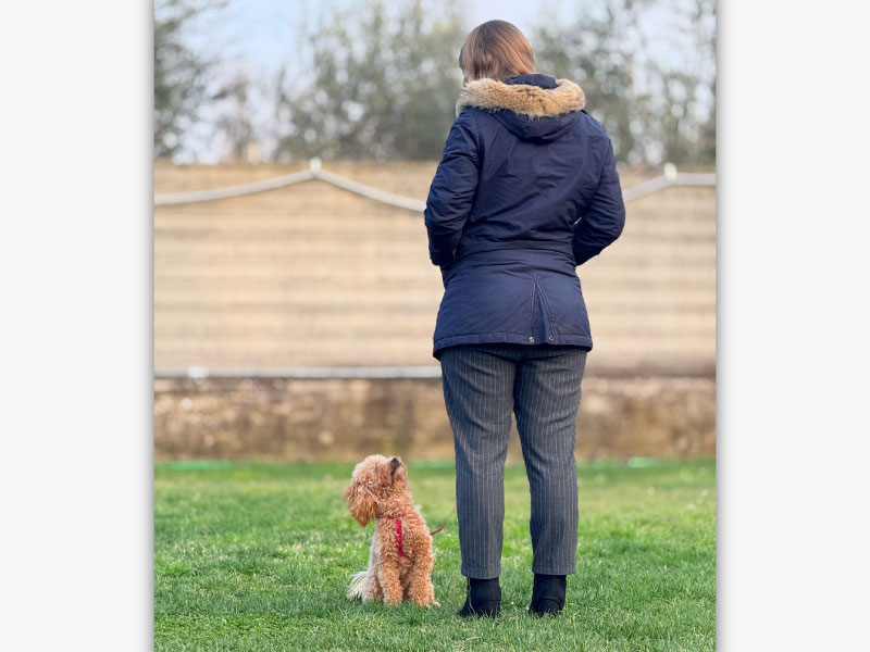 Cane_Pescara