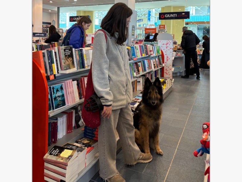 Cane_Urbano_Educatore_Cinofilo_Pescara_4