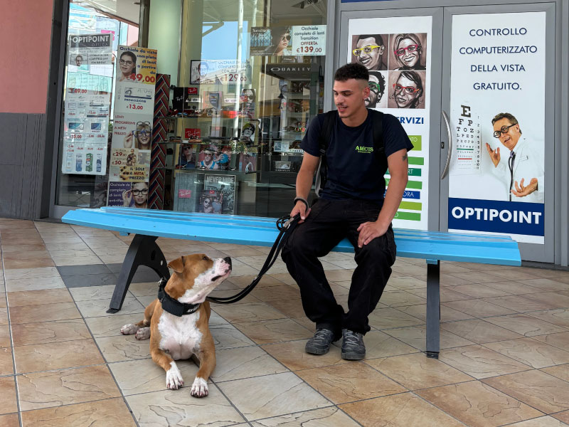 Cane_Urbano_Educatore_Cinofilo_Pescara_6