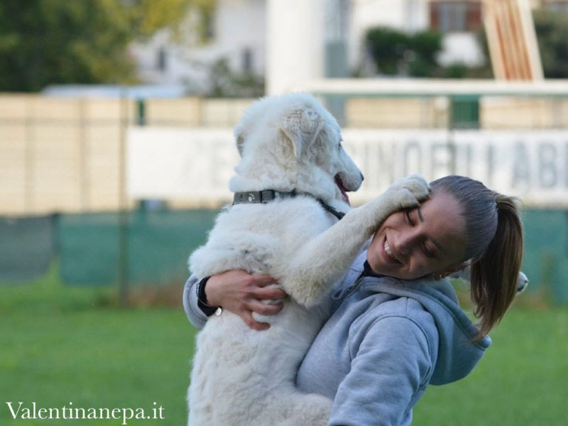 Valentina_Nepa_Educatore_Cinofilo_Pescara_6