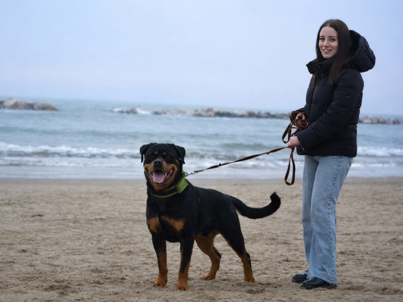 Dog_sitting_pescara_4