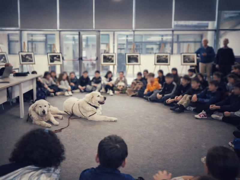 Percorsi_bambini_educatore_cane